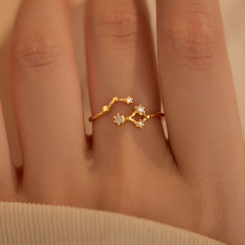 12 Constellation Rings